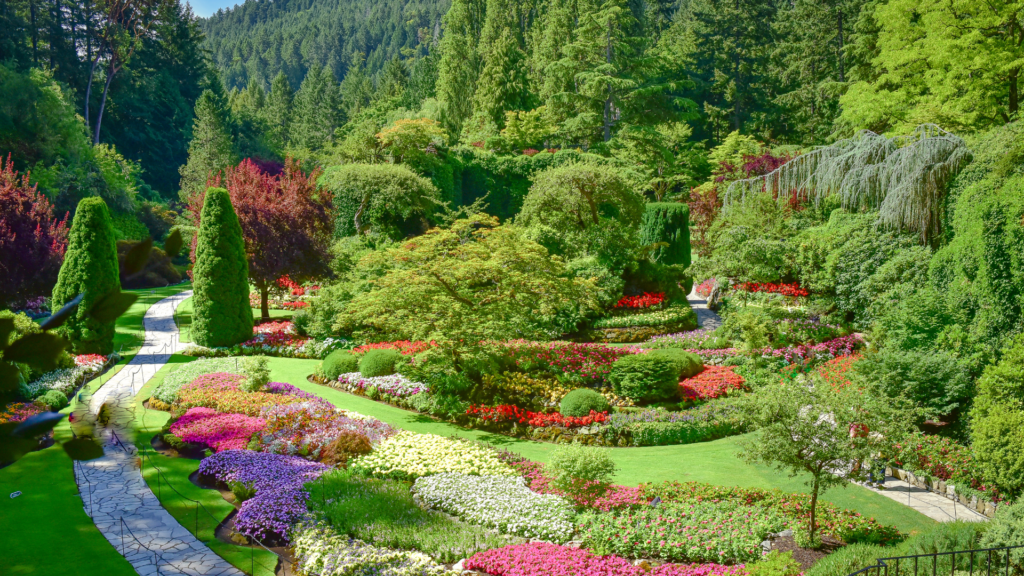 The Butchart Gardens near Victoria BC with colourful flowers, walking paths, and lush greenery, a popular stop on bus tours to Victoria.