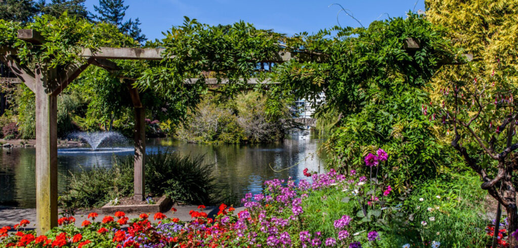 Beacon Hill Park in Victoria BC with flowers, greenery, a pond, and walking paths, a peaceful stop for things to do in Victoria.